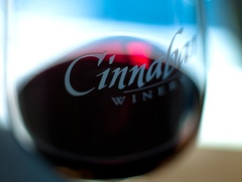 Library Wine Tasting with George Troquato